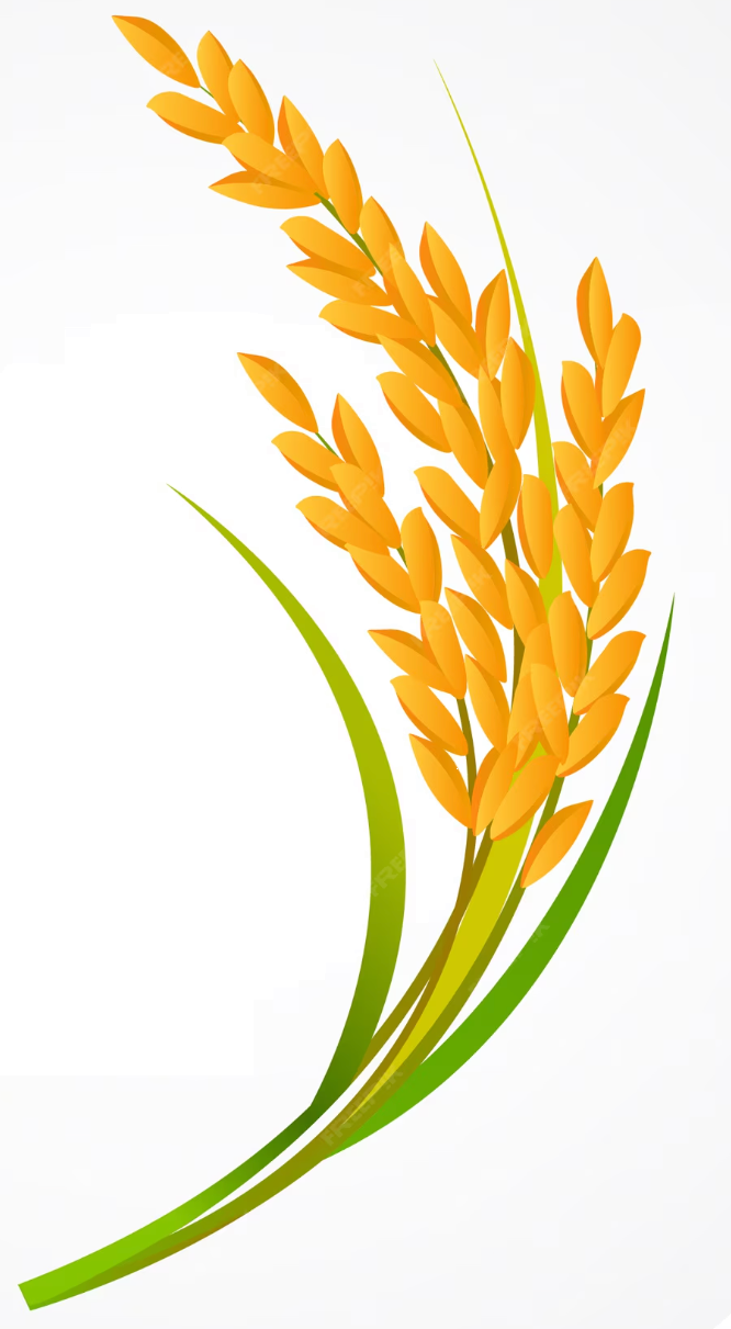 Wheat Ears